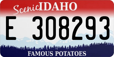 ID license plate E308293