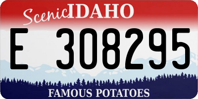 ID license plate E308295
