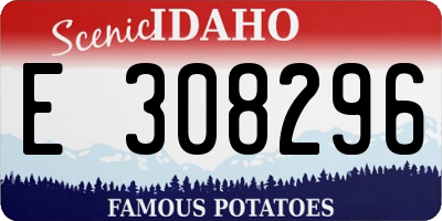 ID license plate E308296