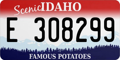 ID license plate E308299