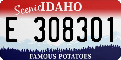 ID license plate E308301