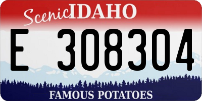 ID license plate E308304