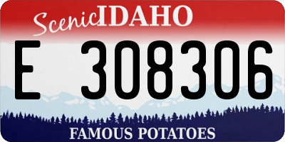 ID license plate E308306