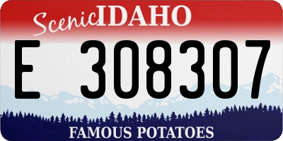 ID license plate E308307