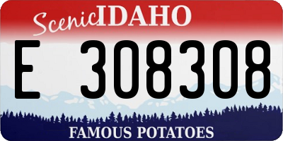 ID license plate E308308