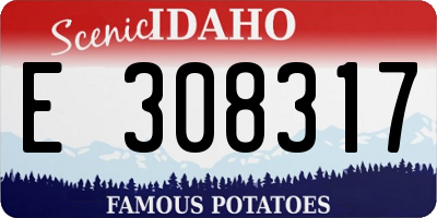 ID license plate E308317