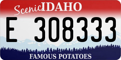 ID license plate E308333