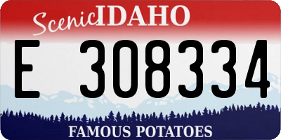 ID license plate E308334