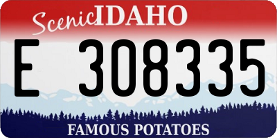 ID license plate E308335