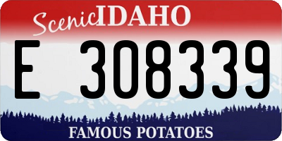 ID license plate E308339