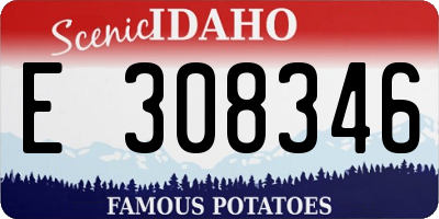 ID license plate E308346