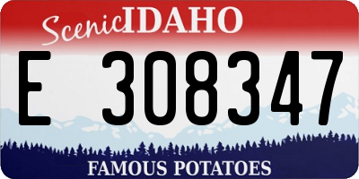 ID license plate E308347