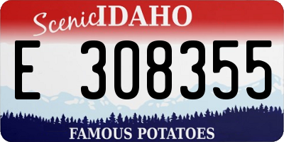 ID license plate E308355