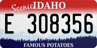 ID license plate E308356