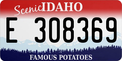 ID license plate E308369
