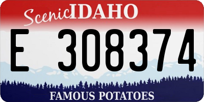 ID license plate E308374