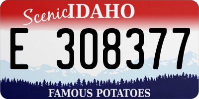 ID license plate E308377