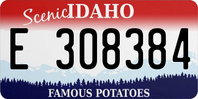 ID license plate E308384