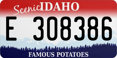ID license plate E308386