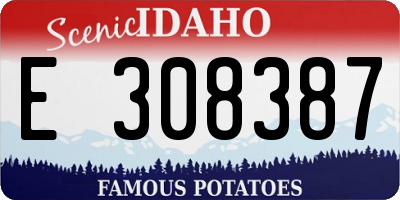 ID license plate E308387