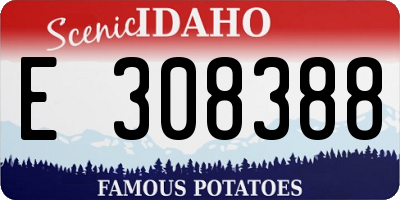 ID license plate E308388