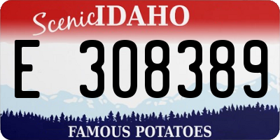 ID license plate E308389