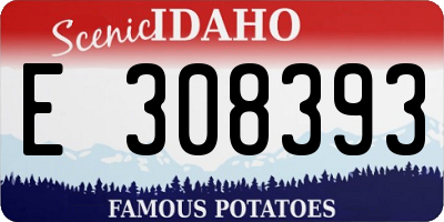 ID license plate E308393