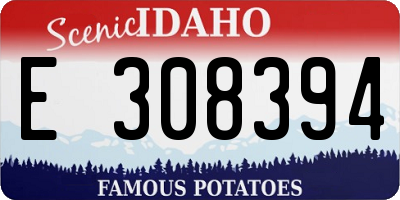 ID license plate E308394