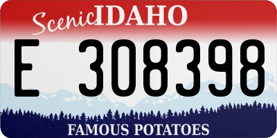 ID license plate E308398
