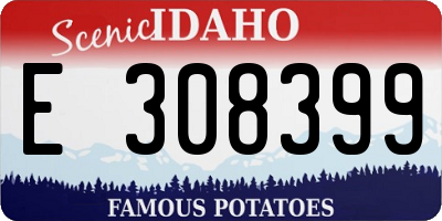 ID license plate E308399