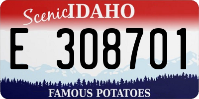 ID license plate E308701