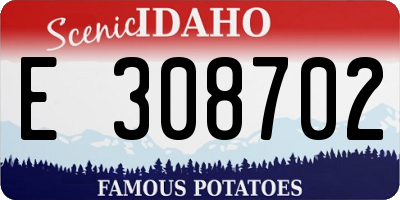 ID license plate E308702