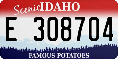 ID license plate E308704