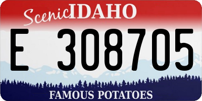 ID license plate E308705
