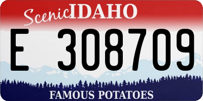 ID license plate E308709