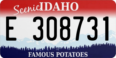 ID license plate E308731
