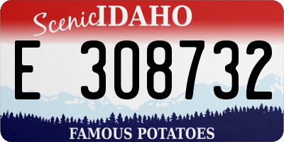 ID license plate E308732