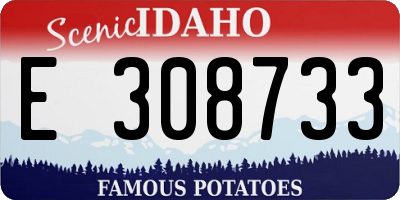 ID license plate E308733