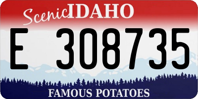 ID license plate E308735