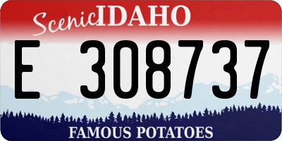 ID license plate E308737