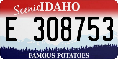 ID license plate E308753