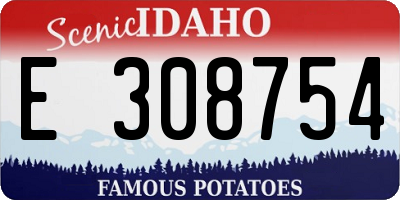 ID license plate E308754