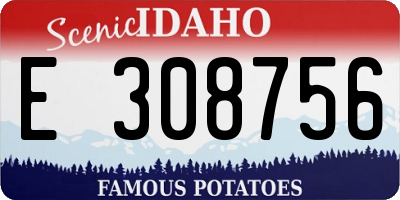 ID license plate E308756
