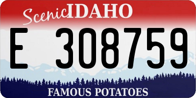 ID license plate E308759