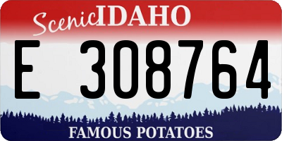 ID license plate E308764