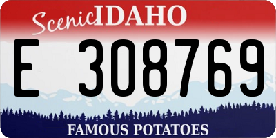 ID license plate E308769