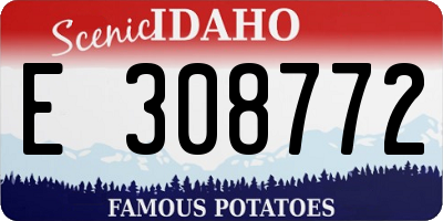 ID license plate E308772