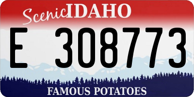 ID license plate E308773