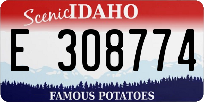 ID license plate E308774
