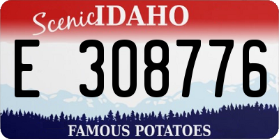 ID license plate E308776